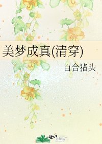 美梦成真(清穿)