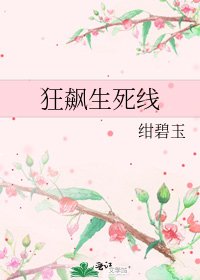 狂飙生肆线