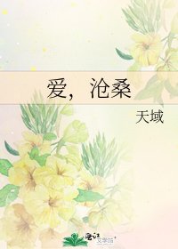 《爱,沧桑》