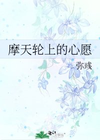 摩天轮上的心愿