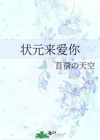 《状元来爱你》