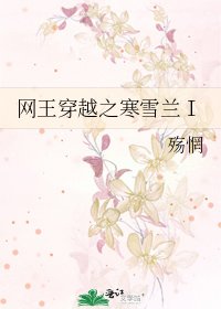 网王穿越之寒雪兰Ⅰ