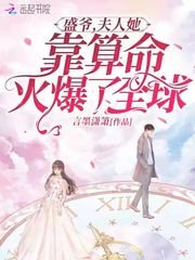 盛爷,夫人她靠算命火爆了全亿
