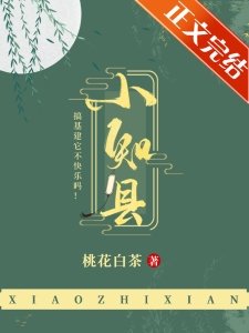 《小知县》
