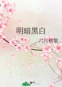 《明暗黑白》