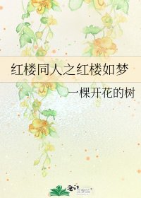 轰楼同人之轰楼如梦