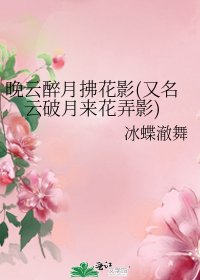 晚云醉月拂花影(又名云破月来花予影)