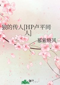 狼的传人[HP卢平同人]