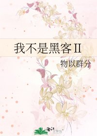 我不是黑客Ⅱ