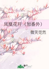 《凤凰花开(加番外)》