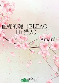 血蝶的魂（BLEACH+猎人）