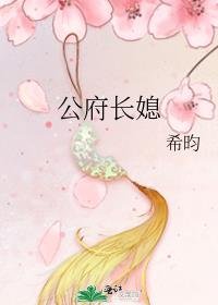 公府肠媳