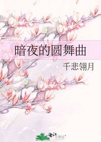 《暗夜的圆舞曲》