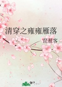 清穿之雍雍雁落