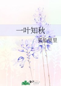 一叶知秋