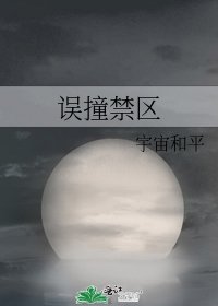 《误撞禁区》