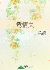《鸳情关》