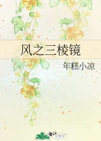 风之三棱镜