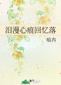 《泪漫心痕回忆落》
