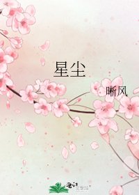 星尘