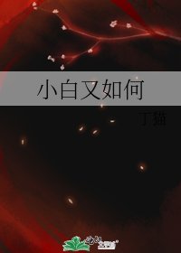 《小白又如何》