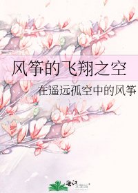 《風箏的飛翔之空》