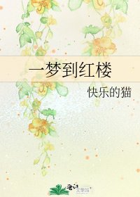 《一梦到红楼》