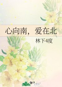 心向南,爱在北