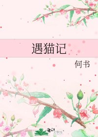 《遇猫记》