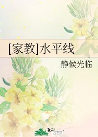 [家教]水平線