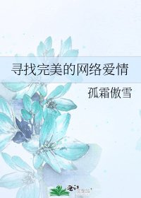 《寻找完美的网络爱情》