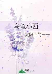 乌龟小西