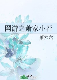 网游之萧家小若