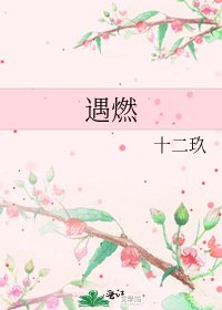 《遇燃》