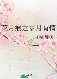 《花月痕之岁月有情》