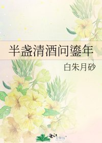 《半盏清酒问鎏年》