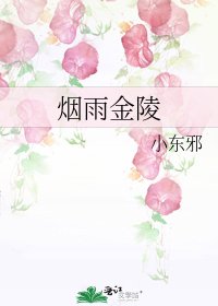 烟雨金陵