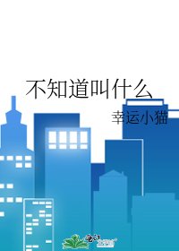 《不知道叫什么》