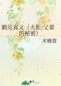 鹤见真义(火影/父辈的秘密)