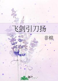 《飞剑引刀扬》
