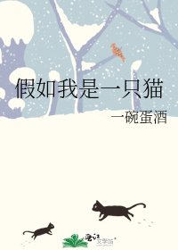 《假如我是一只猫》