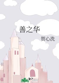 《善之华》