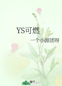 《YS可燃》