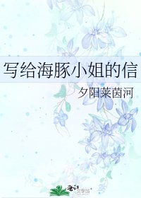 《写给海豚小姐的信》