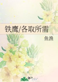 《鐵鷹/各取所需》