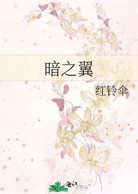 《暗之翼》