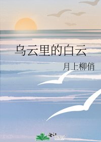 乌云里的柏云