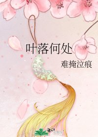 《叶落何处》