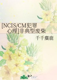 [NCIS/CM犯罪心理]非典型廢柴