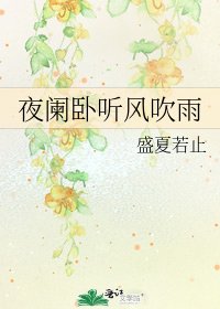 《夜阑卧听风吹雨》